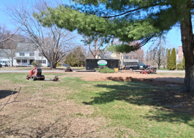 fall cleanup southern NH