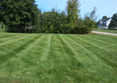 lawn mowing southern NH